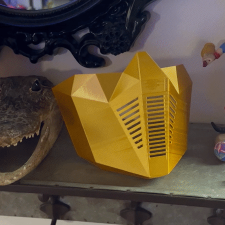 Lae WWMM AN WN Polygon half mask