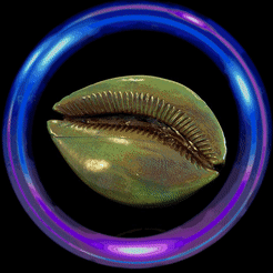 121.gif STL file snail lyncina aurantium・3D printer model to download, zaider