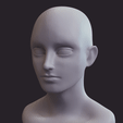 output_hOXFF4.gif 14 sculpted heads