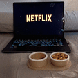 PXL_20240315_010134025~2.gif 🍺 0,33 L can holder + snack bowl 🍿 | Netflix can and snack holder