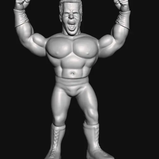 WWF-WWE Costum Sting Sale% 3D model
