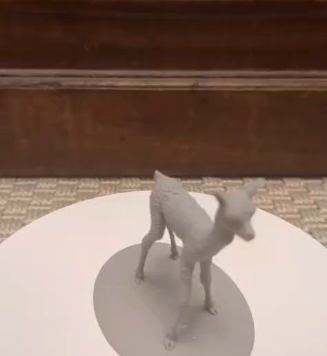 WhatsApp-Video-2026-01-01-at-22.42.14.mp4 Baby Alpaka