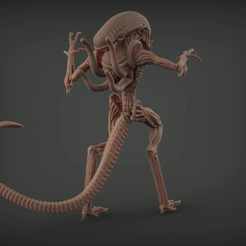 Alien_Pose_1-2.gif OBJ file Alien Pose・3D printer design to download, Choursair