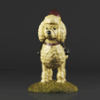 Figure_0000.gif Garden Gnome - Poodle Lawn Statue Figurine Garden Sculptures & Statues›Outdoor Statues