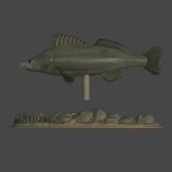 ie are Fichier 3D Statue sous-marine du grand sandre - texture détaillée pour l'impression 3d・Idée pour impression 3D à télécharger, ARTMANS