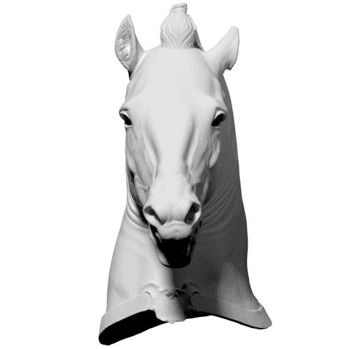 Horse1.gif Horse Head (“Medici Riccardi” horse)