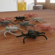 20241108_214512-ANIMATION.gif Articulated cockroach