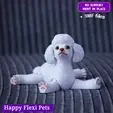 poodle_main.gif Realistic Poodle dog articulated flexi toy named Luna  (STL & 3MF)