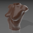 01.gif 3D file Bust 04・Template to download and 3D print