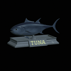 Tuna-model.gif Fichier STL statue de poisson thon texture détaillée pour impression 3d・Idée pour impression 3D à télécharger