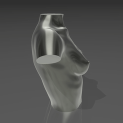 01.gif 3D file Bust 07・3D printing idea to download