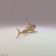 shark-04.gif Shark 3D