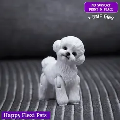 main.gif Toy Poodle - Bichon Frise the articulated realistic dog toy