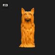 073-Australian_Silky_Terrier_Pose_01.gif Australian Silky Terrier Dog 3D Print Model Pose 01