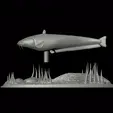 sumec-1.gif catfish / Siluriformes / sumec velký underwater statue detailed texture for 3d printing