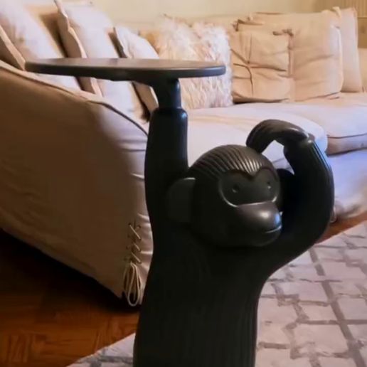 video5933741819027264823.mp4 Monkey side table