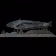 sumec-podstavec-high-quality-3.gif catfish / Siluriformes / sumec velký underwater statue detailed texture for 3d printing