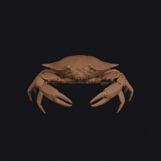 Crab