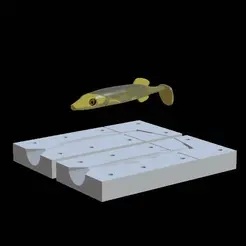 am-bait-pike-12cm-eye-8mm.gif STL file 2x AM bait fish 12cm / 16cm hoof form for predator fishing・3D printer model to download