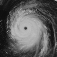 katrina-428x321.gif Hurricane Katrina