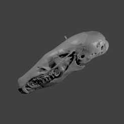 euromole.gif Download STL file European Mole Ornament • 3D printer object, eman1030b