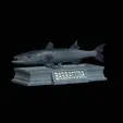 Barracuda-mouth-statue-4.gif fish great barracuda / Sphyraena barracuda open mouth statue detailed texture for 3d printing